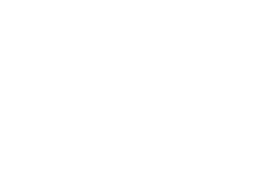 Trabajar solo vs. trabajar juntos